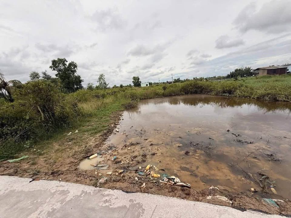 Đất nền 3.300m² xã Thuận Mỹ, Châu Thành, Long An - Giá chỉ 850 triệu, cơ hội vàng cho gia đình trẻ!