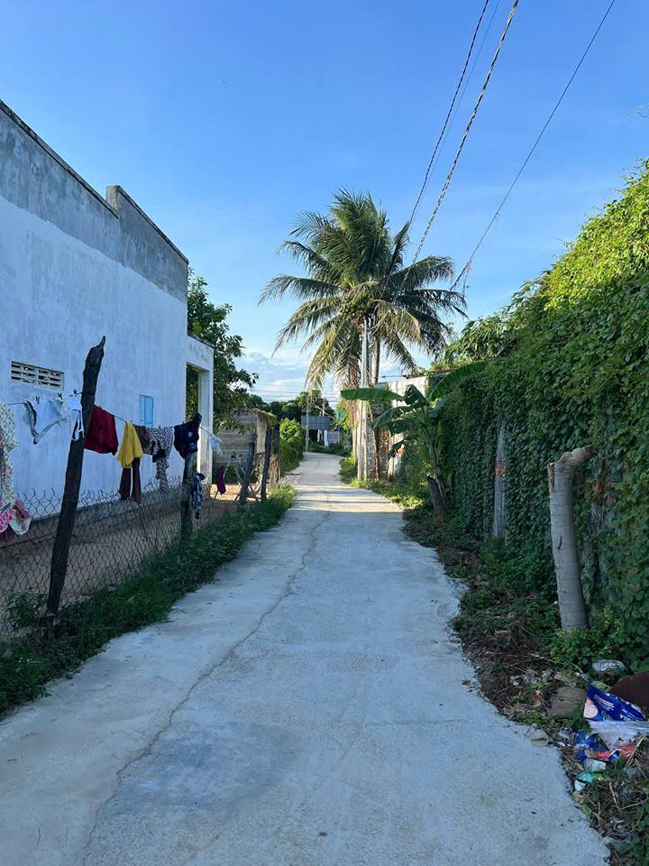 Đất vườn đẹp tại Thành Hải, Ninh Thuận 805m² giá 790 triệu - Tiềm năng đầu tư lớn!