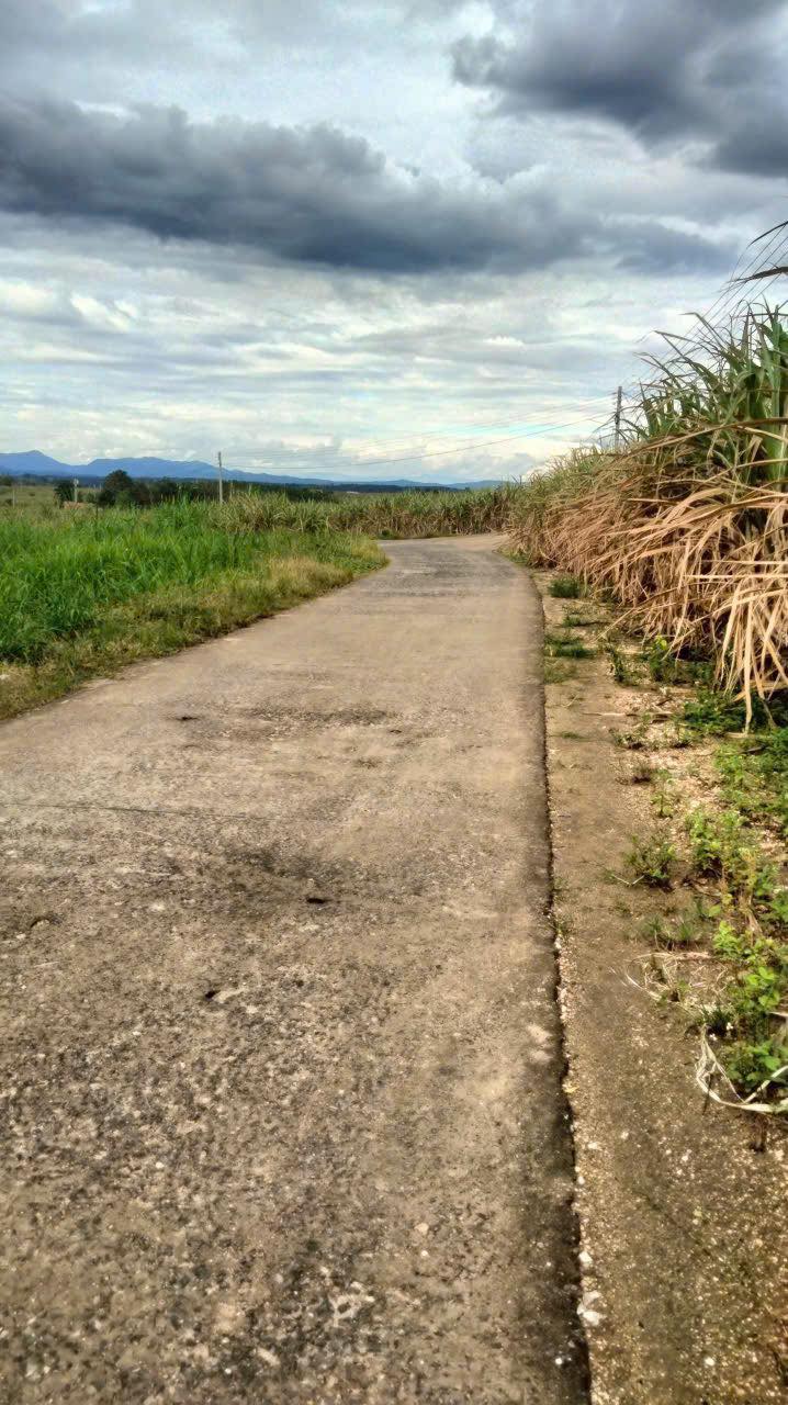 Đất thổ cư 70.000m² tại xã Ea Sô, Đắk Lắk - Sổ hồng đầy đủ, giá chỉ 950 triệu!