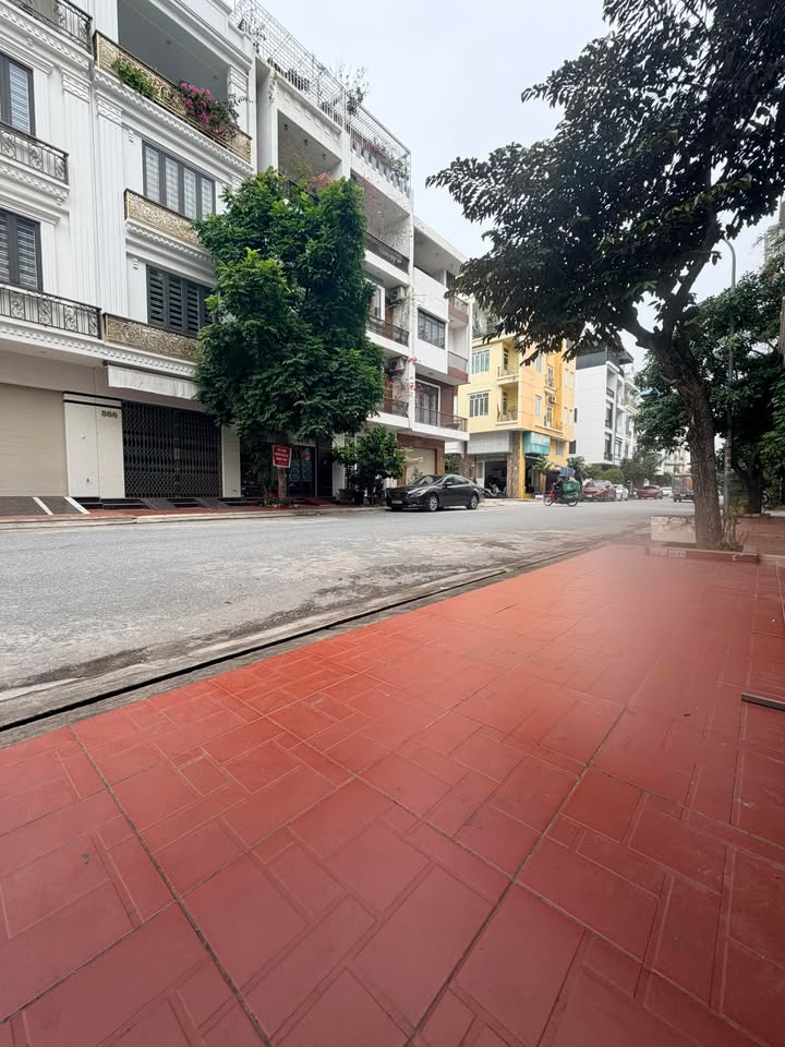 Nhà 4 tầng Ngô Gia Tự, Hải Phòng 65m² giá 9.05 tỷ - Đầu tư sinh lời ngay!