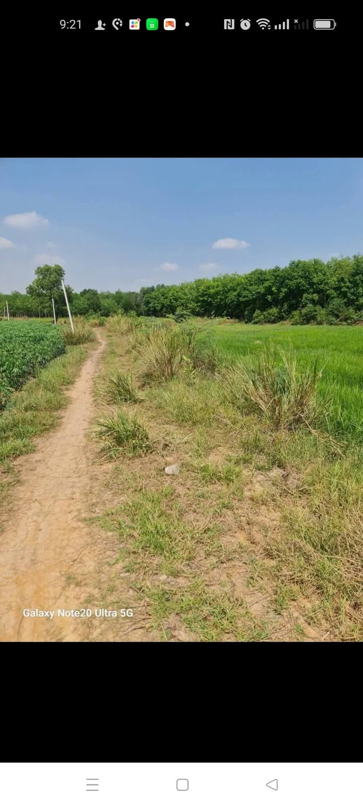 Đất nền Hòa Thạnh, Châu Thành, Tây Ninh 10.000m² giá chỉ 640 triệu - Cơ hội đầu tư hấp dẫn!