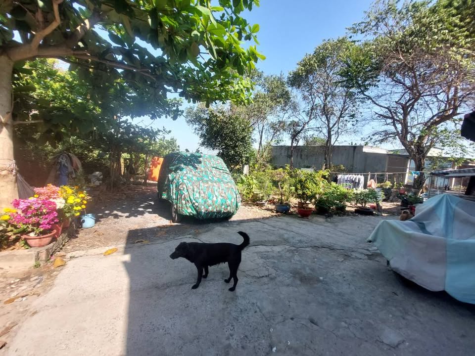 Đất nền Tân Thạnh Đông, Củ Chi 315m² giá 3.1 tỷ - Đầu tư sinh lời ngay!