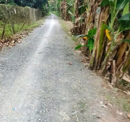 Đất nền 2904m² xã Tân Thiềng giá 1.3 tỷ - Đường ô tô vào tận nơi!