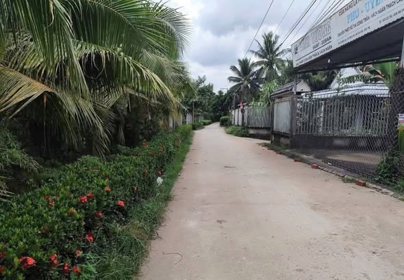 Đất nền xã Thành An, Mỏ Cày Bắc 1600m² - Giá chỉ 1.55 tỷ, đầu tư sinh lợi!