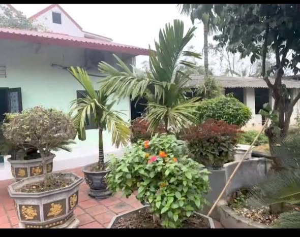 Đất ở Hoàng Văn Thụ, Chương Mỹ 632m² chỉ 8 triệu - Đầu tư sinh lời ngay!