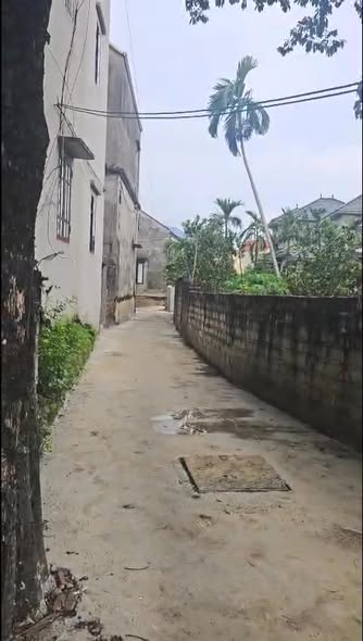 Đất lô góc 121.5m² Xóm Sắn, Trung Hòa, Chương Mỹ - Giá chỉ 2 tỷ!