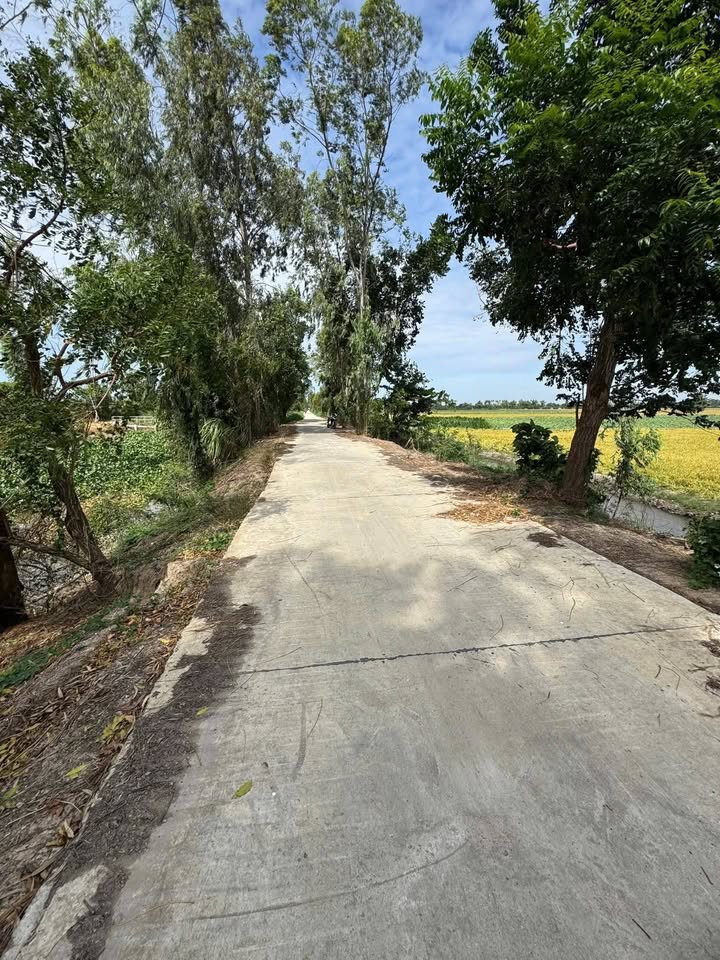 Đất thổ cư 6.500m² mặt tiền đường Long Sơn, Tân Châu - Giá chỉ 650 triệu!