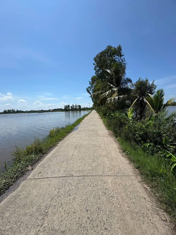 Đất nông nghiệp 5.615m² xã Phú Vĩnh, Tân Châu - Giá chỉ 176.45 triệu!