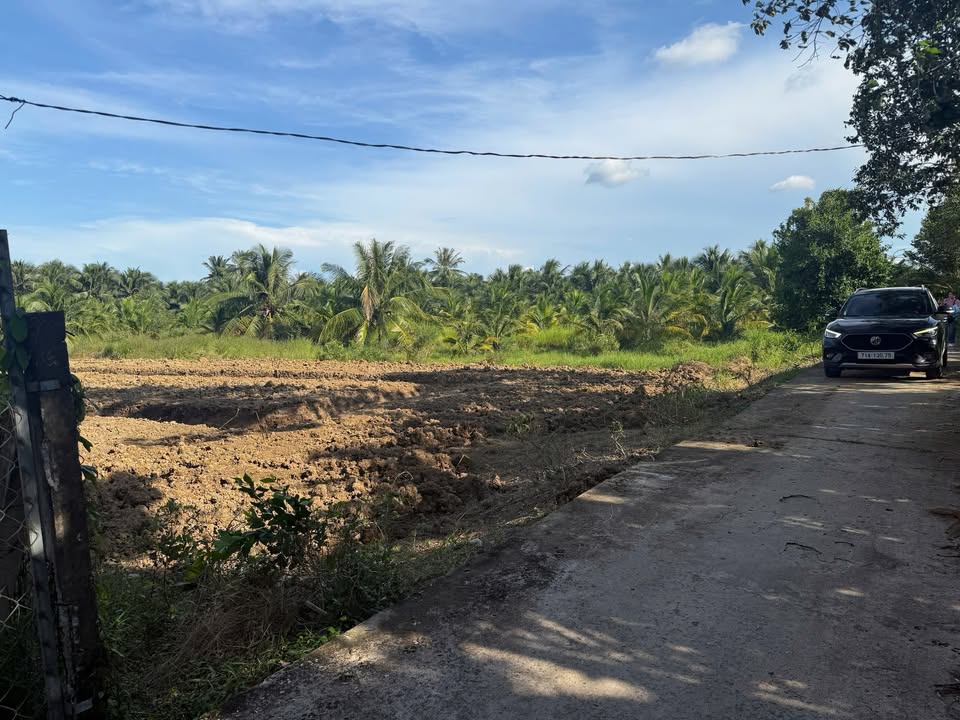 Đất vườn Phú Khương, Bến Tre 1931m² giá 1.93 tỷ - Tiềm năng đầu tư lớn!