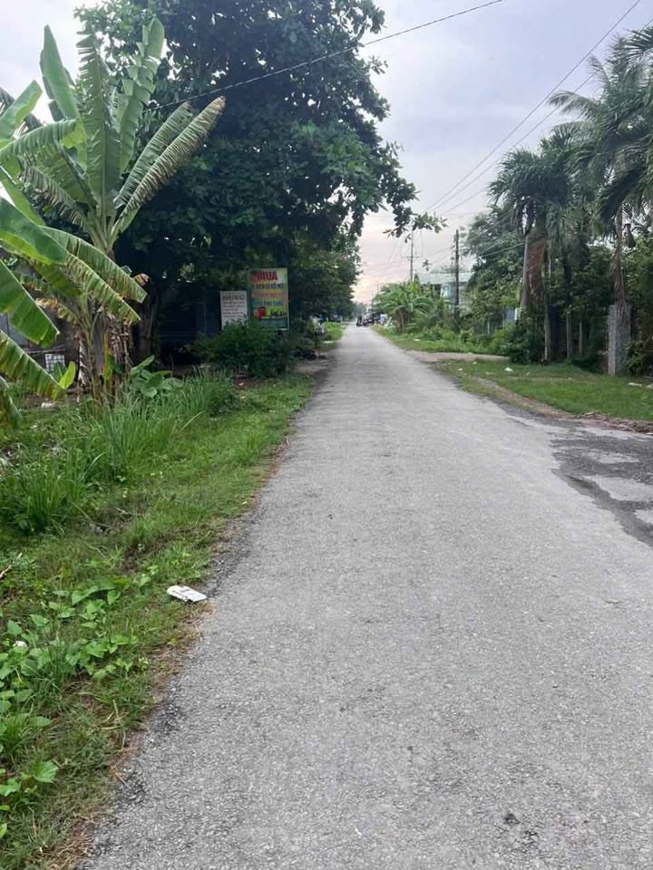 Đất thổ cư 173 Phong Nẫm 2225m² giá 5.56 tỷ - Cơ hội đầu tư tuyệt vời!