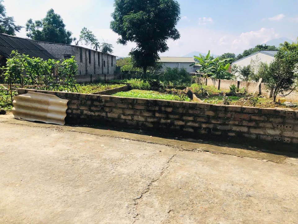 Đất đô thị 300m² phường Tùng Thiện - Sơn Tây chỉ 2 tỷ - Sổ đỏ chính chủ!