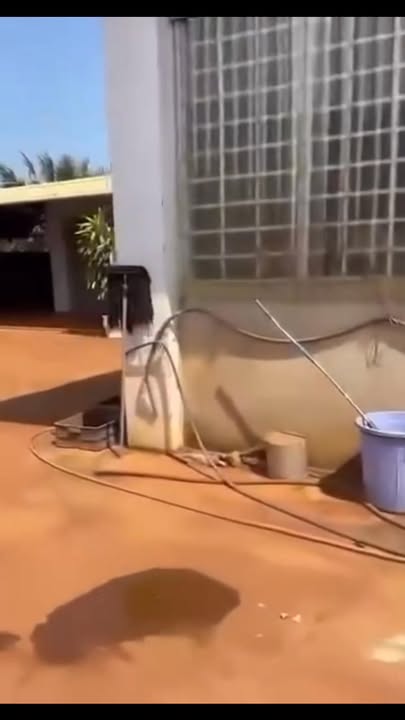 Kho xưởng 2400m² đường Hoàng Văn Thụ, Phước Long - Giá chỉ 5.5 tỷ VND