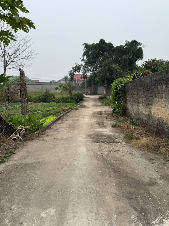 Đất thổ cư Hiệp Hòa 412m² giá 1.4 tỷ - Đầu tư sinh lời ngay!