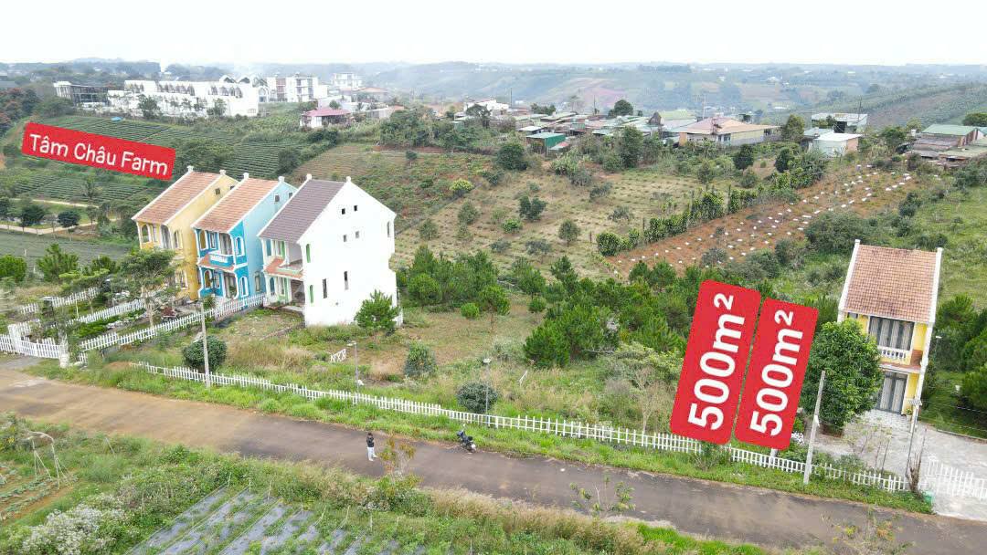 Đất nền Bảo Lộc 500m² giá chỉ 1.45 tỷ - Mặt tiền nhựa 8m, gần tiện ích!