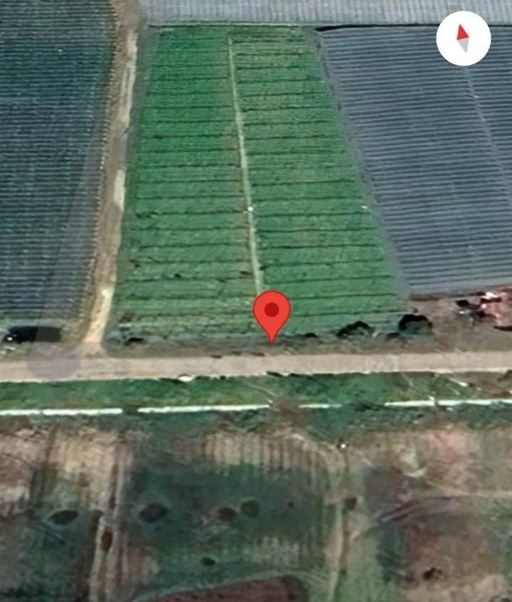 Đất sào chính chủ tại xã Quảng Lập, Đơn Dương, Lâm Đồng 9000m² - Giá chỉ 1,125 tỷ!