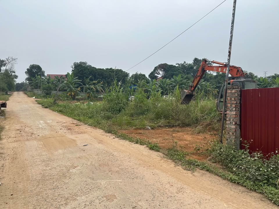 Đất nền Kim Long, Tam Dương 100m² giá tốt - Tiện ích đầy đủ!