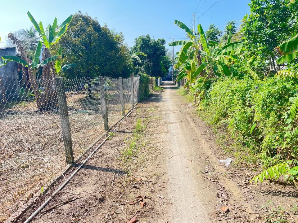 Đất thổ cư 300m² tại Phường Tân Ngãi, Vĩnh Long - Giá chỉ 3.2 tỷ, thương lượng