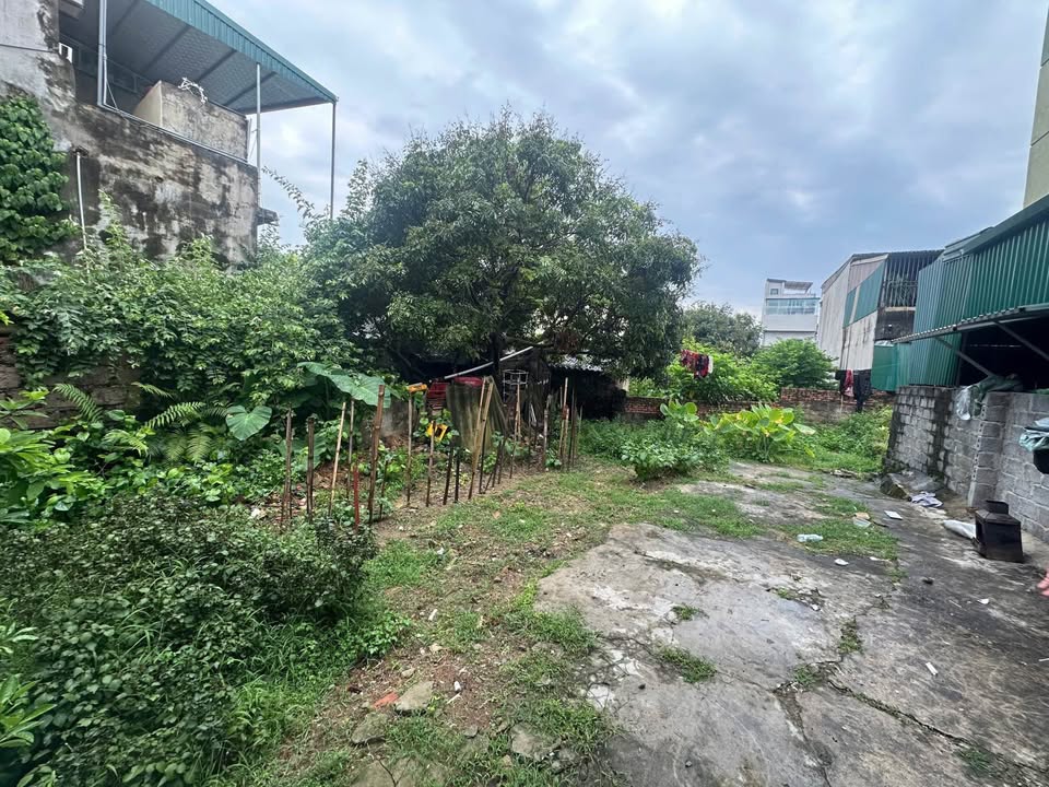 Đất nền 160m² tại phường Nam Ngạn giá chỉ 2.2 tỷ - Cơ hội đầu tư tuyệt vời!