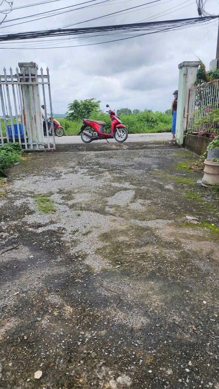 Đất mặt tiền đường nhựa Thái Hòa 224m² giá 3.9 tỷ - Đầu tư sinh lời ngay!