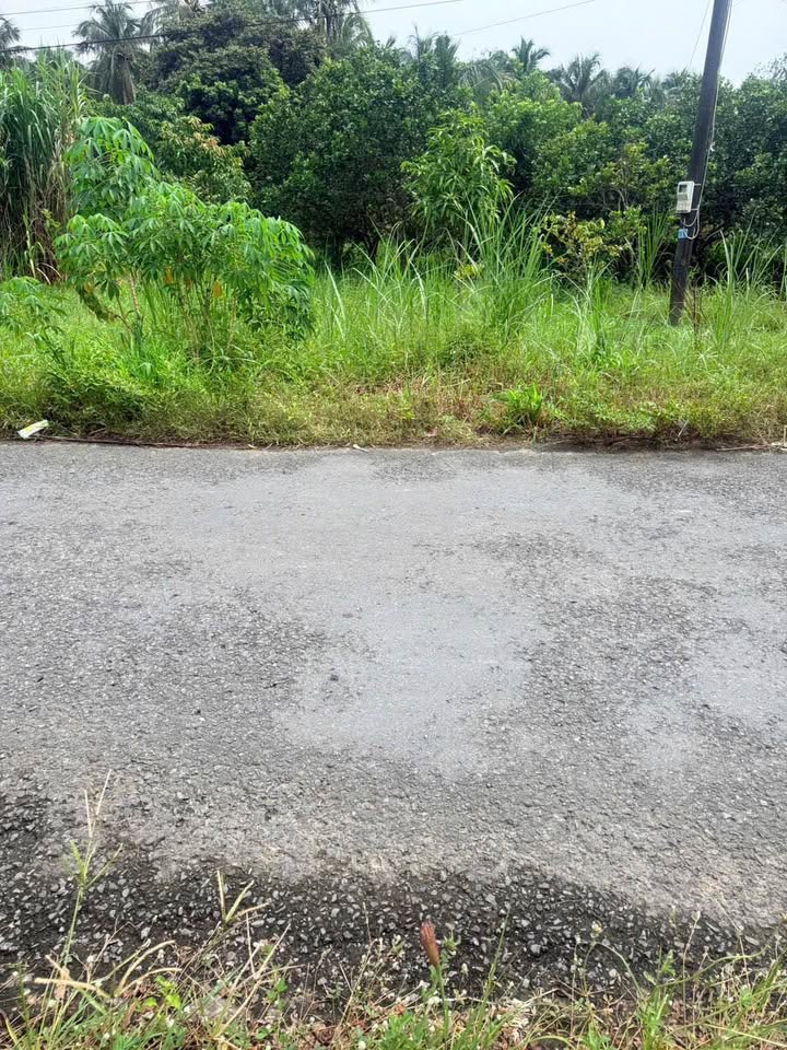 Đất nền 511m² mặt tiền đường Lò Hột nối dài - Giá 2 tỷ, view sông tuyệt đẹp!