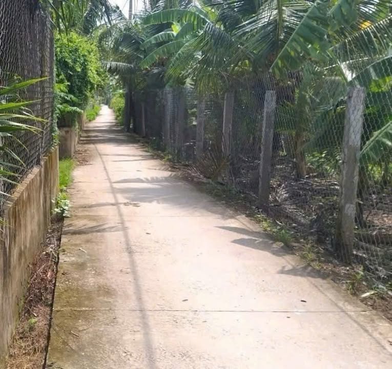 Đất vườn 2000m² Phước Hòa, Mỹ Tho - Giá 4 tỷ, thương lượng chính chủ!