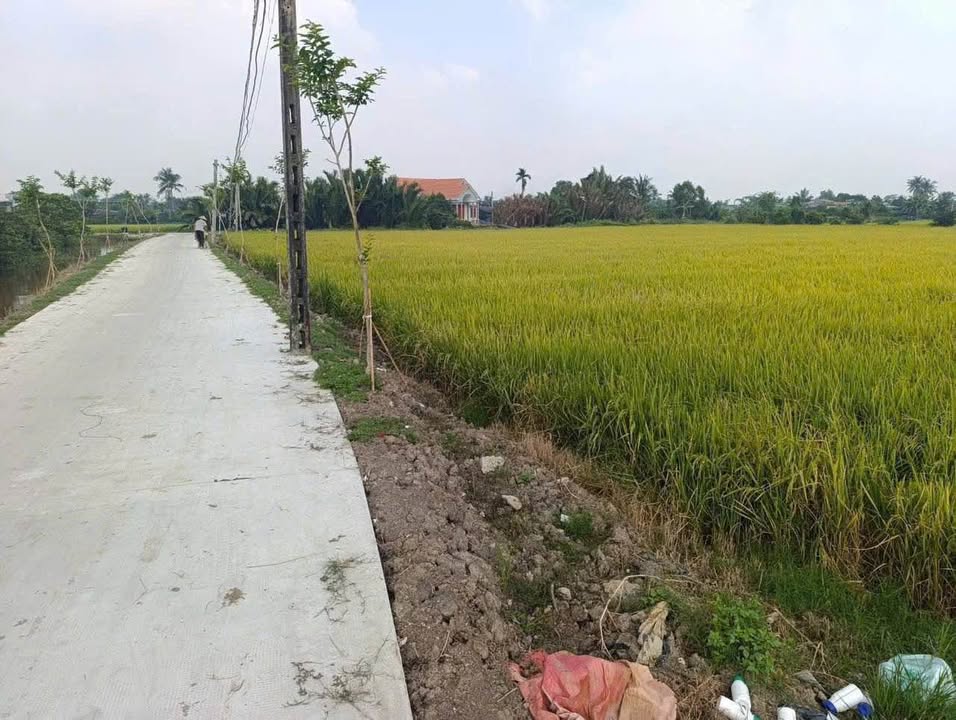 Đất thổ cư Tân Phước Tây 125m² giá 525 triệu - Đường bê tông sạch đẹp!