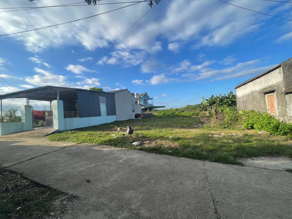 Đất nền phường Gia Sàng, Thái Nguyên 325m² giá 1.1 tỷ - Cam kết không ngập lụt!