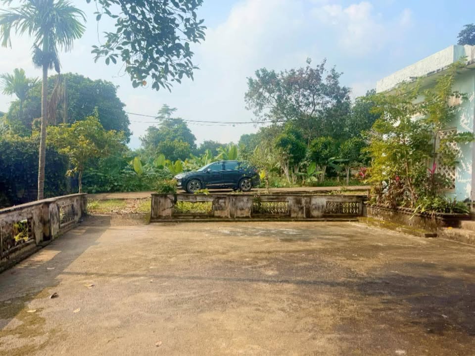 Đất Vân Hòa Ba Vì 3500m² giá 21 tỷ - Phù hợp xây homestay nghỉ dưỡng!