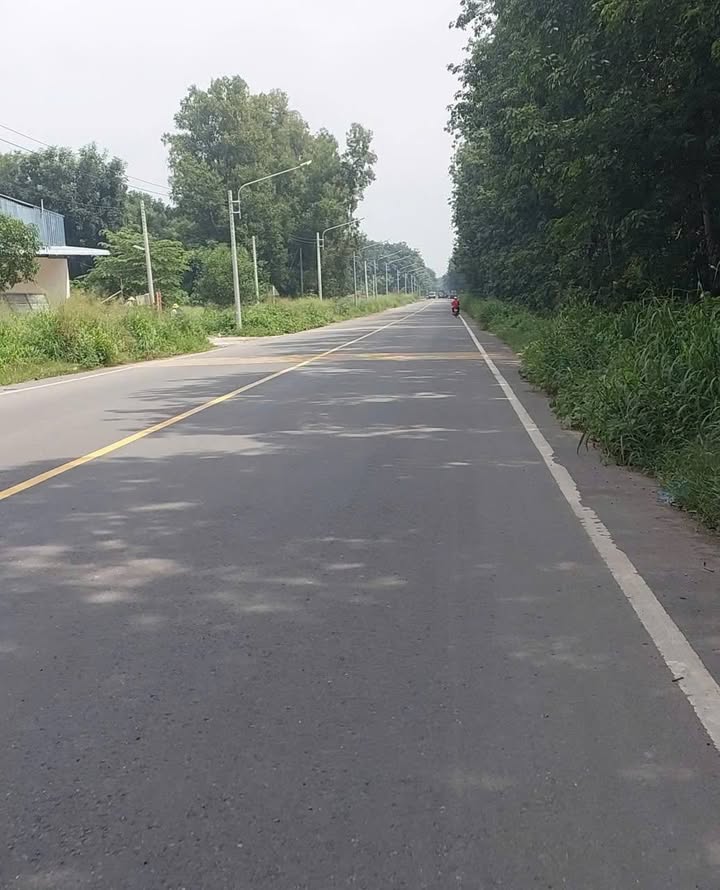 Đất SKC 1.6ha Trừ Văn Thố Bàu Bàng Bình Dương - Giá chỉ 29 tỷ!