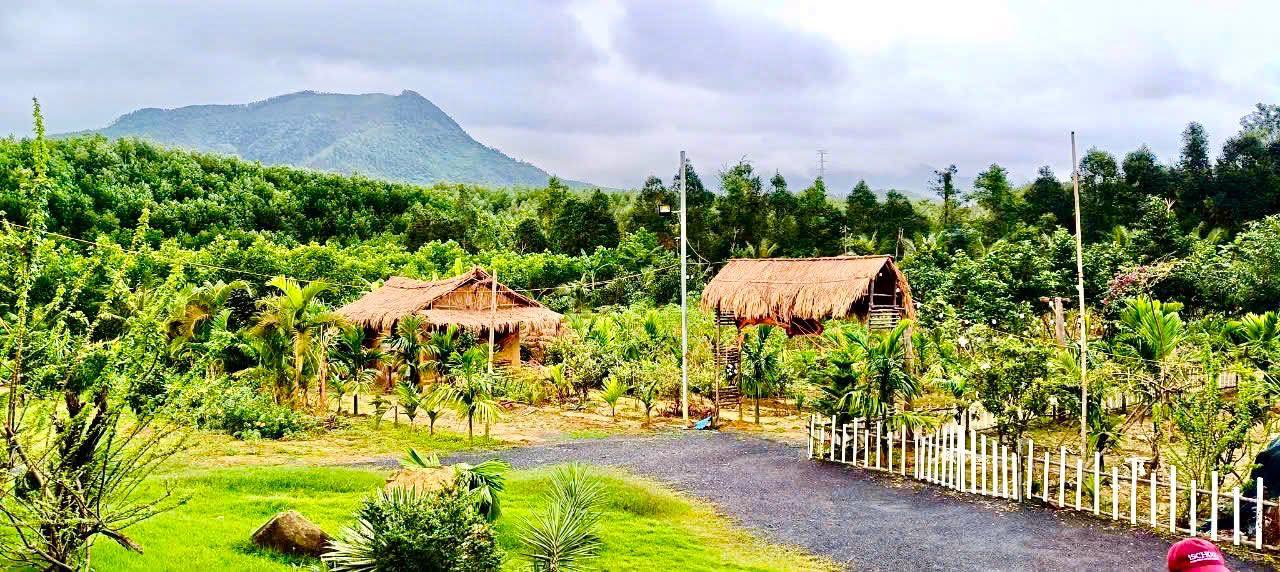 Đất nông nghiệp 6000m² Hòa Sơn Đà Nẵng giá chỉ 3 tỷ - Cơ hội đầu tư tuyệt vời!