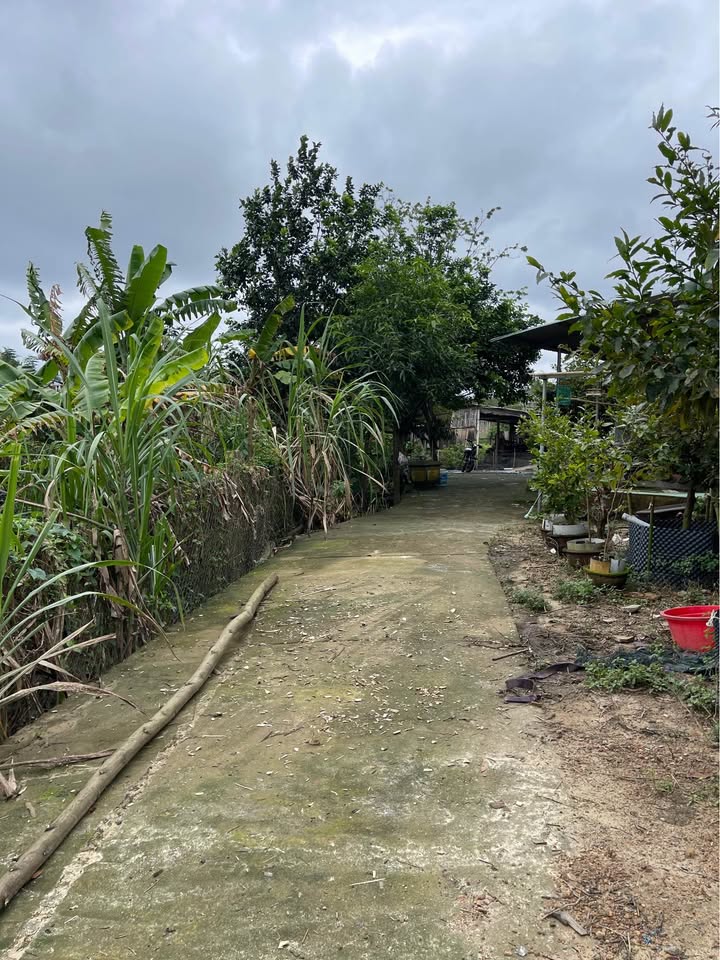 Đất thổ cư Hiền Phước, Hòa Liên 103m² giá 1.25 tỷ - Cơ hội đầu tư sinh lời!