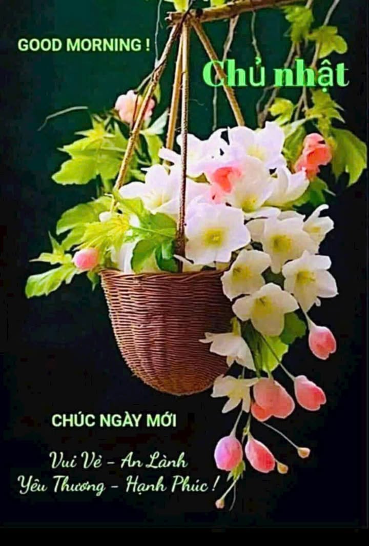 Đất mặt tiền đường Phạm Văn Đồng Thủ Đức 2400m² giá 180 tỷ - Cơ hội đầu tư hấp dẫn!