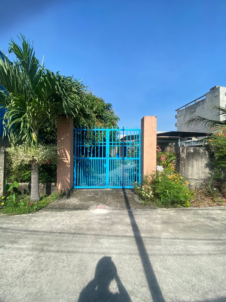 Đất thổ cư An Phú Đông 80m² giá 4.2 tỷ - Đối diện ĐH Nguyễn Tất Thành!