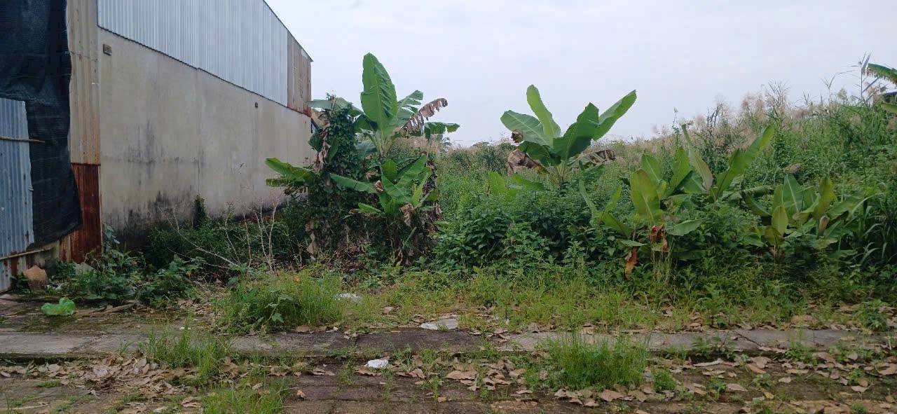 Đất nền liền kề đường Số 5, phường Tân Xuyên, Cà Mau 198m² - Giá chỉ 1 tỷ!