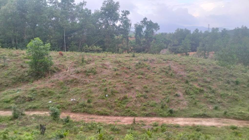 Đất Farm Hòa Ninh Đà Nẵng 24000m² giá 5.5 tỷ - Đầu tư sinh lời trong tương lai!