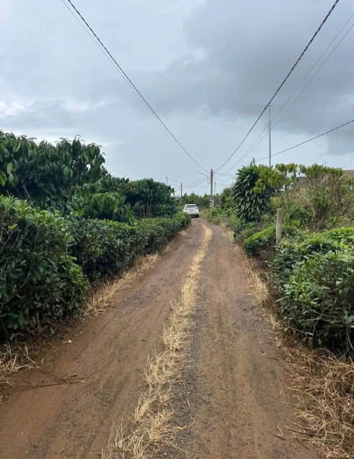 Đất nền Lộc Thắng Bảo Lâm 180m² giá 350 triệu - Cần bán gấp, thương lượng nhẹ!