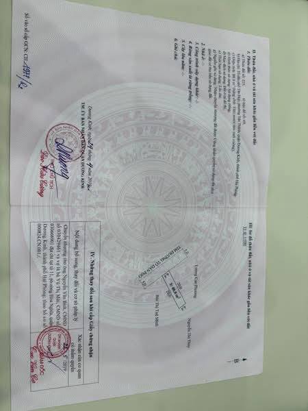 Đất nền ngõ 81 Tân Thành, Hải Phòng 88m² chỉ 2 tỷ - Vị trí đẹp, xây dựng tự do!