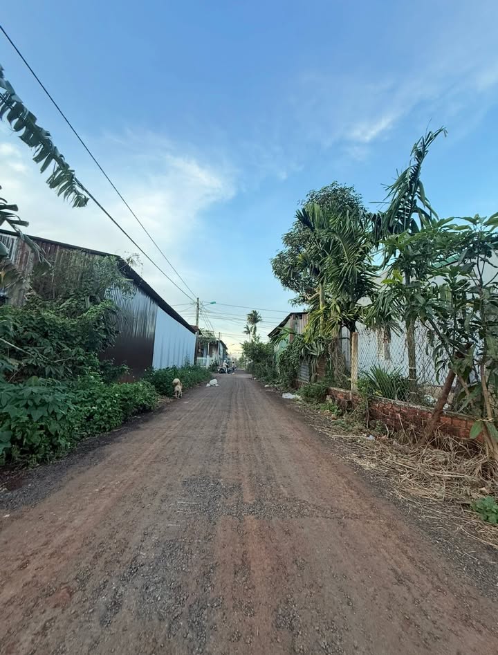 Đất thổ cư 100% Tân An - Buôn Ma Thuột 100m² giá 900 triệu - Đầu tư sinh lời ngay!