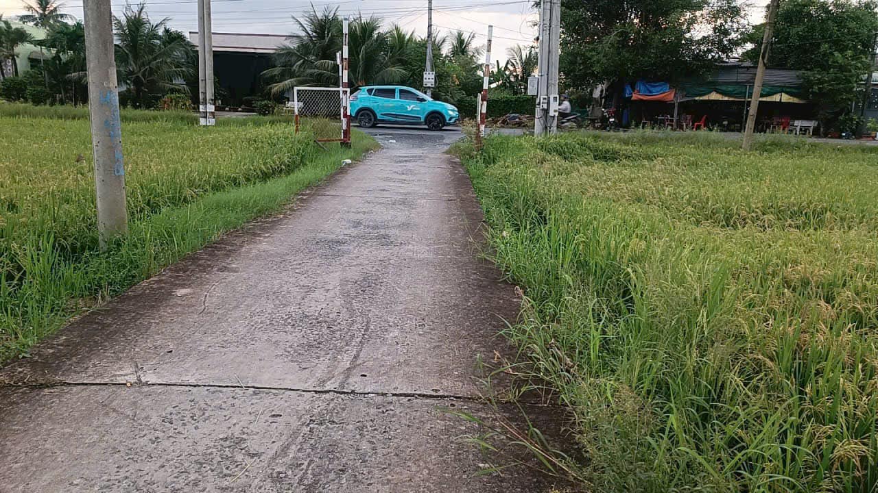 Đất thổ cư đường Cao Thị Mai, Tân Trụ 188m² giá 399 triệu - Cơ hội đầu tư tuyệt vời!