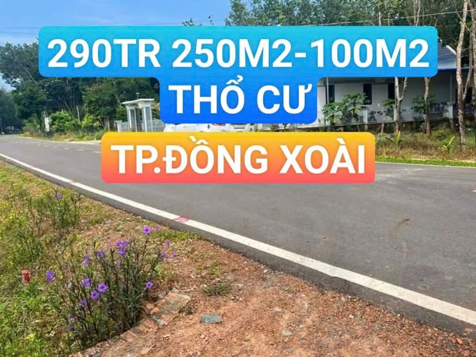 Đất nền chính chủ Đồng Xoài 250m² giá chỉ 290 triệu - Mặt tiền thoáng đãng!