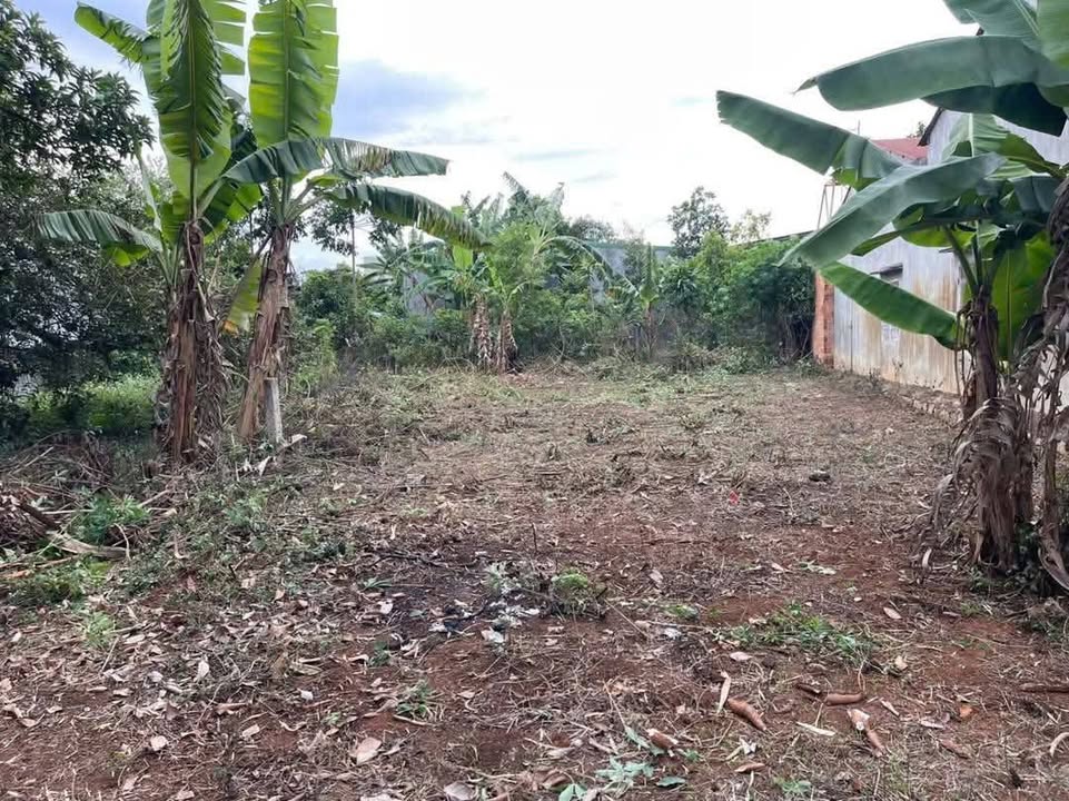 Đất đẹp hẻm 29 Lạc Long Quân, P. Thắng Lợi, Pleiku - Diện tích 154m², giá 1,2 tỷ - Cơ hội đầu tư tốt!