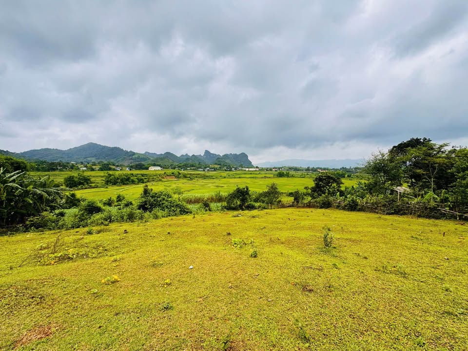 Lô đất Hợp Phong, Cao Phong 2263m² giá 1.995 tỷ - View nghỉ dưỡng tuyệt đẹp!