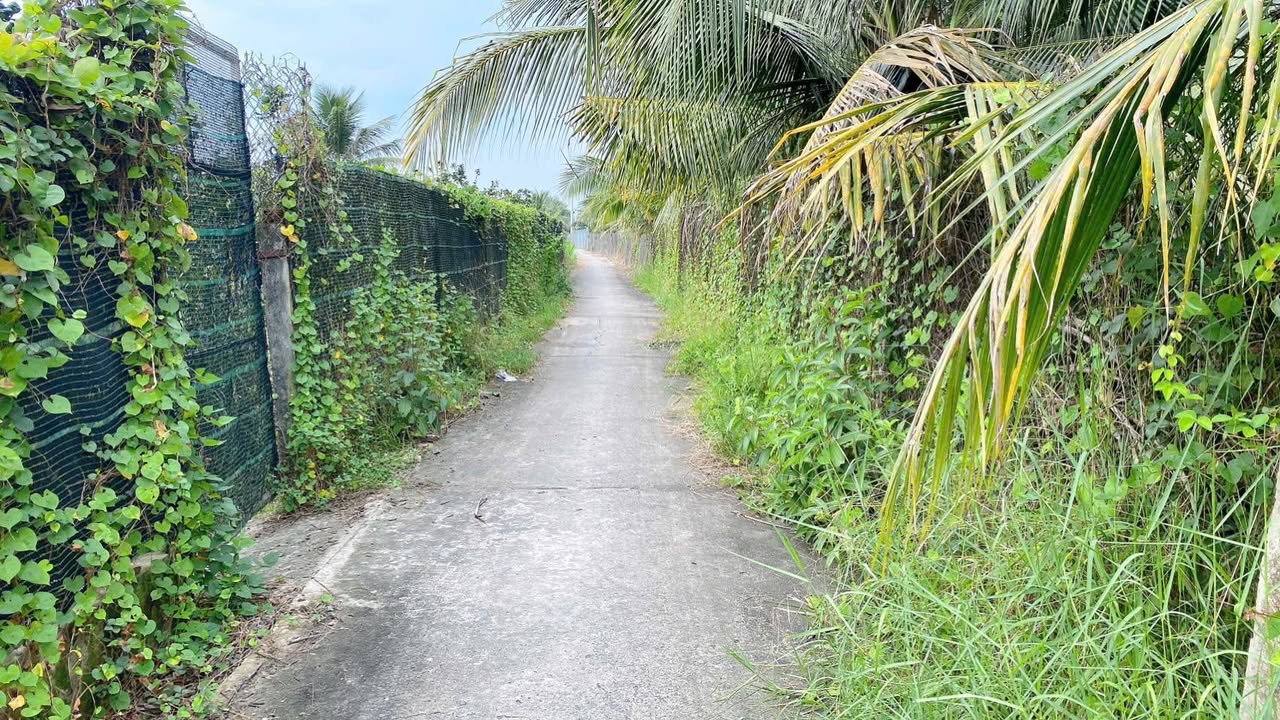 Đất nền Chợ Gạo - Tiền Giang 324m² giá 435 triệu - Cơ hội đầu tư tốt!