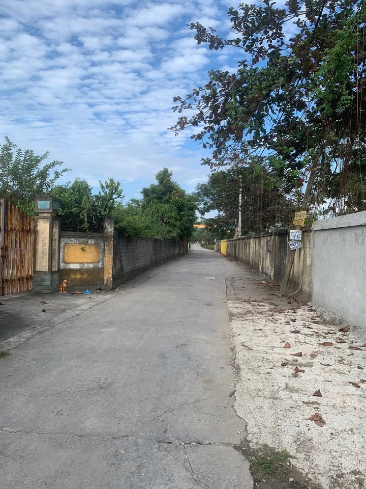 Đất nền Hoàng Quế Đông Triều 316.8m² giá 2 tỷ - Đầu tư sinh lời ngay!