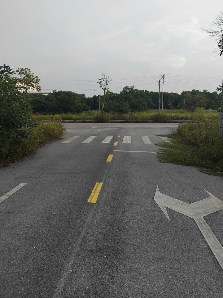 Đất nền Dự án Dũng Liệt Yên Phong 100m² giá 2.6 tỷ - Pháp lý rõ ràng, xây dựng tự do!