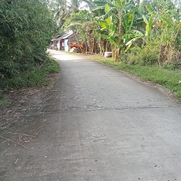 Đất thổ cư An Hiệp, Châu Thành 4200m² giá 2.5 tỷ - Đầu tư sinh lời ngay!