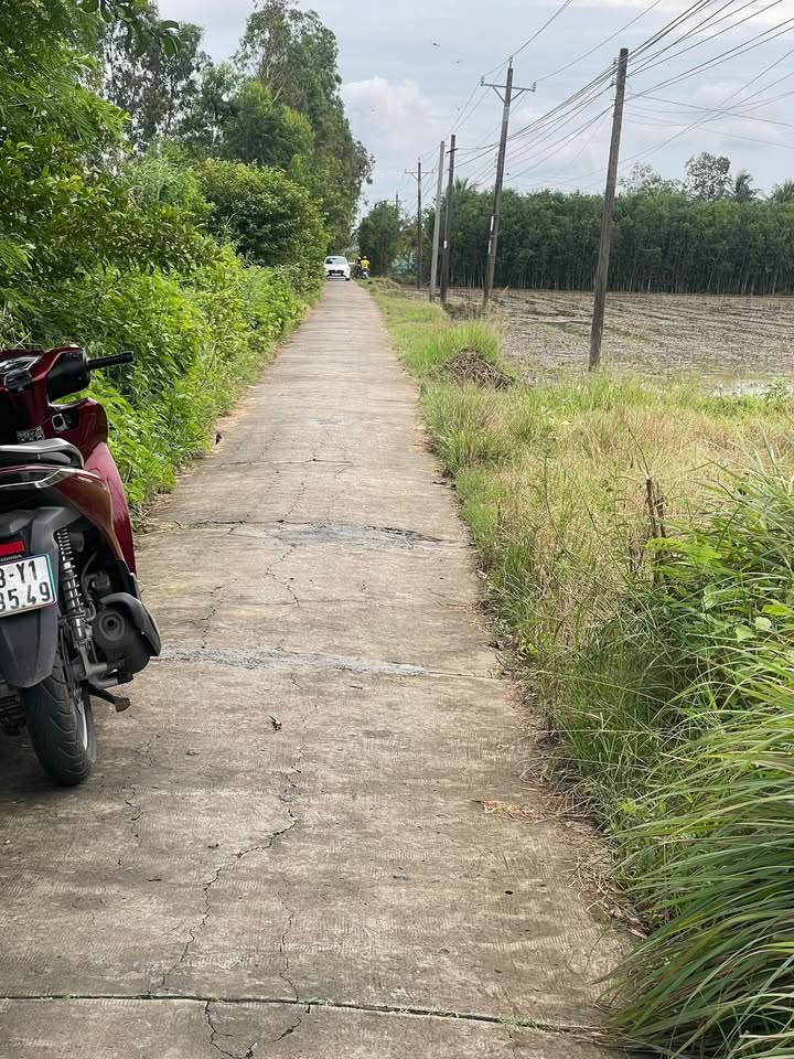 Đất nền 405m² xã Long Phú, Sóc Trăng - Sổ hồng công chứng ngay, chỉ 340 triệu!