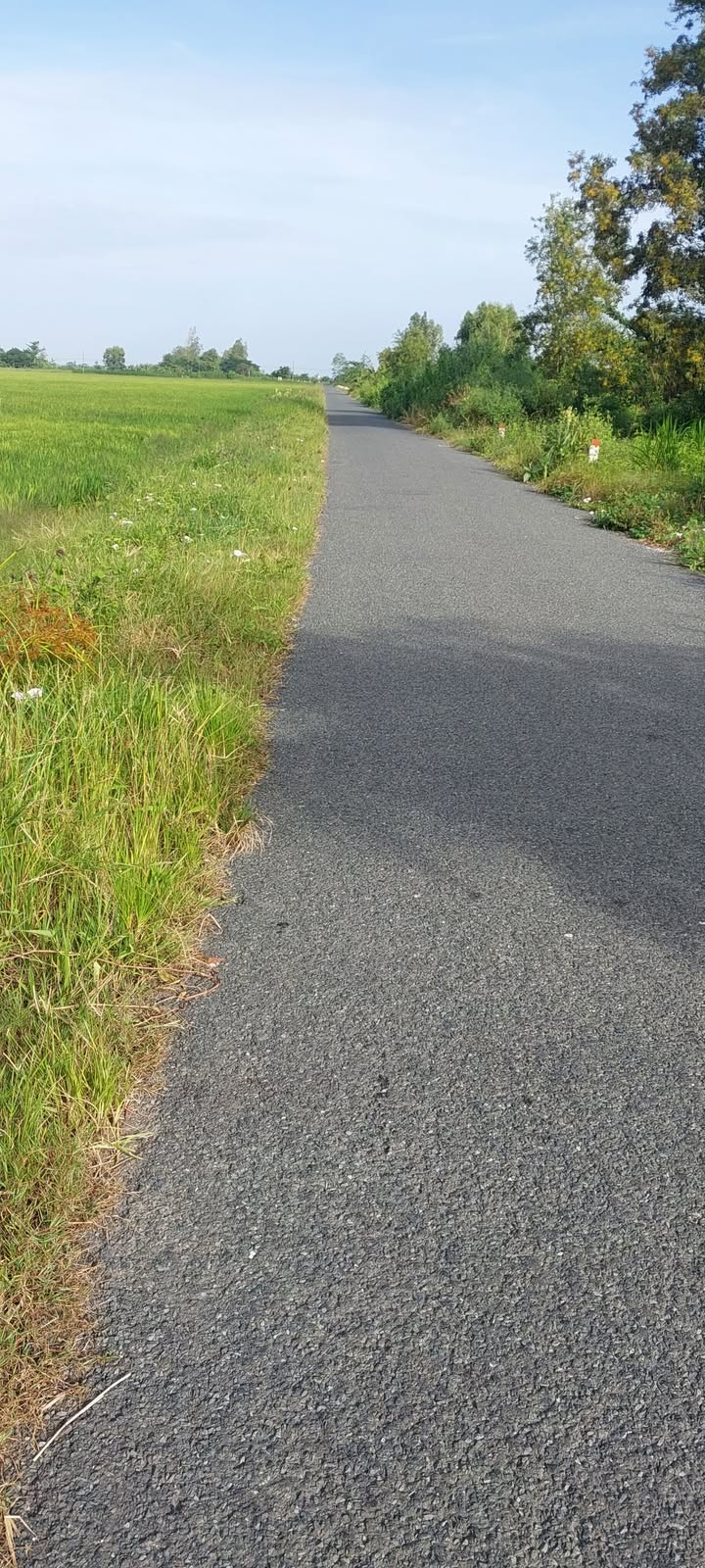 Đất nền 933m² tại ấp Kokô, xã Tân Thạnh, Sóc Trăng - Giá chỉ 300 triệu thương lượng!