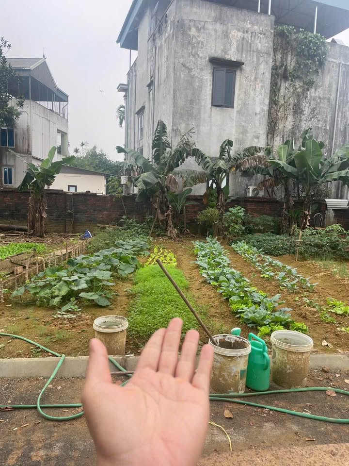 Đất thổ cư 100m² xã Hạ Bằng - Đầu tư sinh lời chỉ 400 triệu!