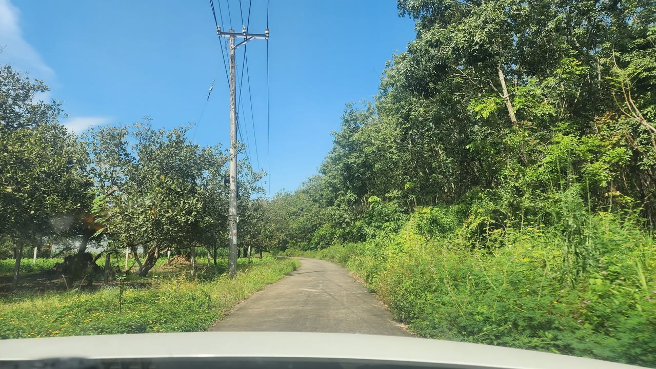 Đất nền Suối Cao, Xuân Lộc, Đồng Nai 1134m² - Giá đầu tư hấp dẫn!